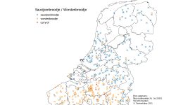 Kaart: saucijzenbroodje (Nederland), worstenbroodje (Vlaanderen)